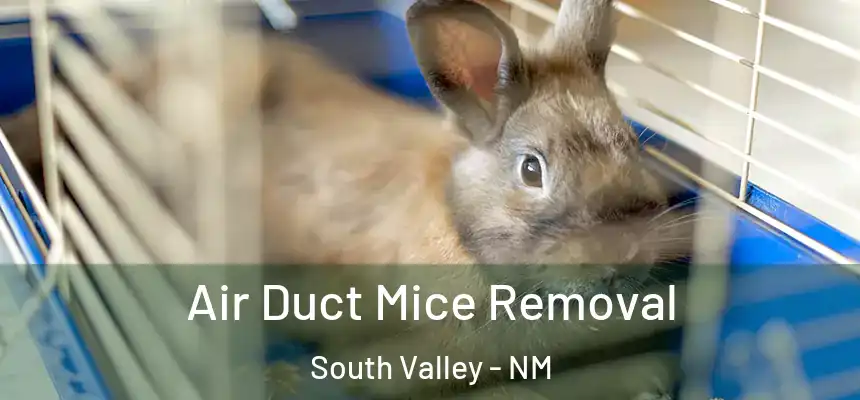  Air Duct Mice Removal South Valley - NM