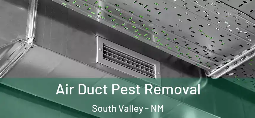 Air Duct Pest Removal South Valley - NM