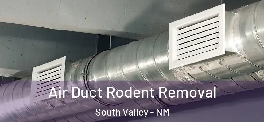  Air Duct Rodent Removal South Valley - NM