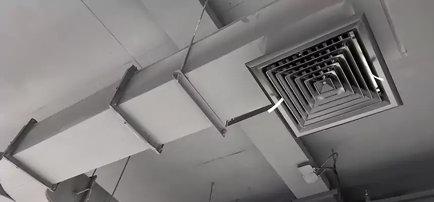 Restorative Allergy Relief Vent Cleaning – Coil, Blower & Housing Detail in South Valley