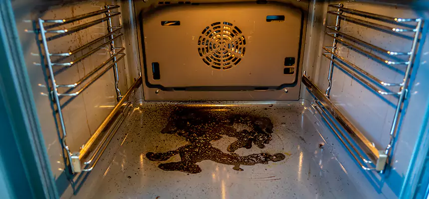 Our Dryer Vent Mold Cleaning Services in South Valley, NM