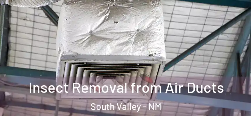  Insect Removal from Air Ducts South Valley - NM