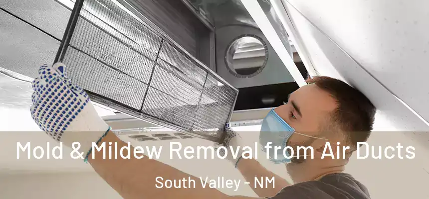 Mold & Mildew Removal from Air Ducts South Valley - NM