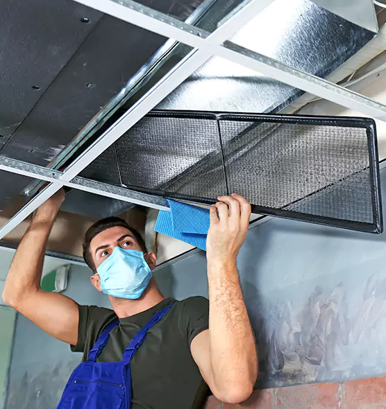 About Air Duct Bacteria Removal in South Valley