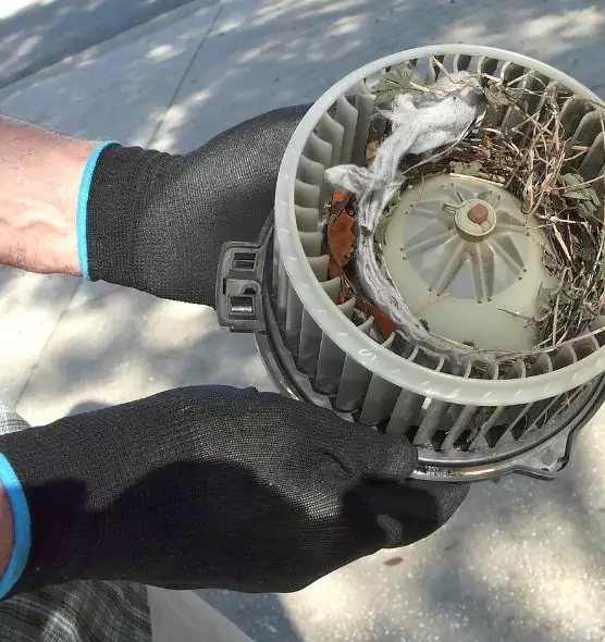 About Air Duct Mice Removal in South Valley, NM