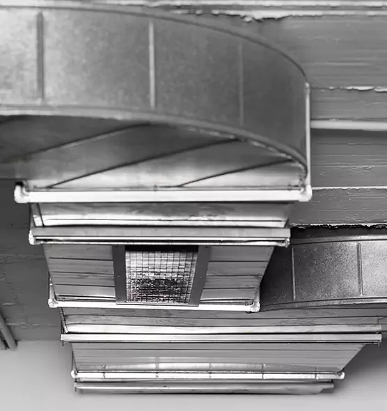 Professional Air Duct Pest Removal in South Valley, NM