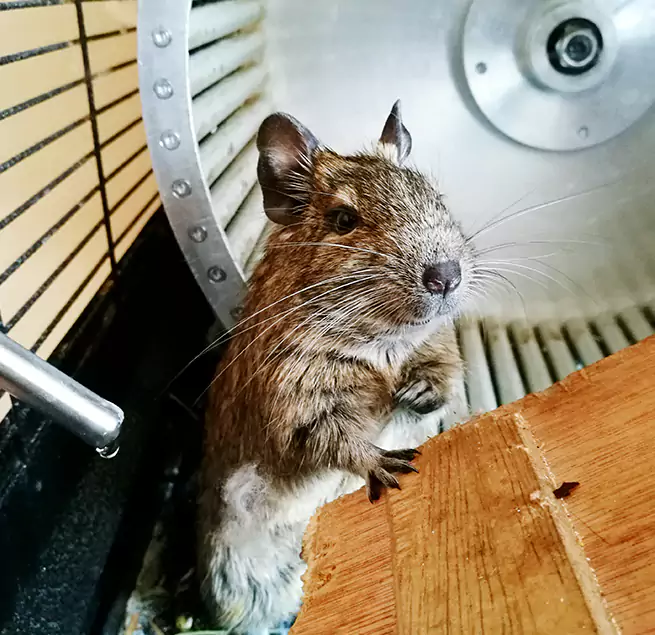 Why Homeowners & Businesses Trust Us South Valley, NM