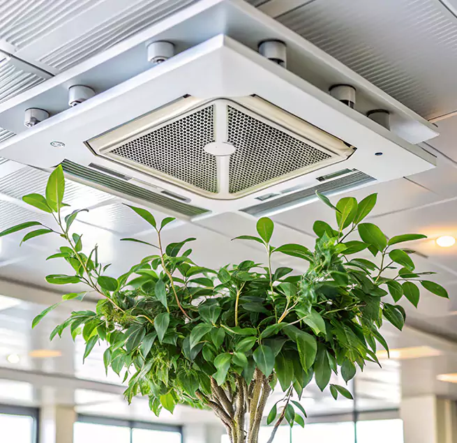 Why Homeowners & Businesses Trust Us in South Valley, NM