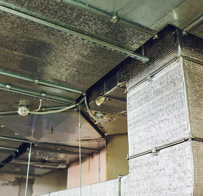 Why Homeowners & Businesses Trust Us in South Valley, NM?